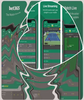 Best sports odds app in india