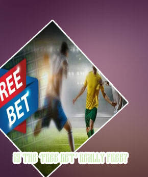 Bookmaker free bets
